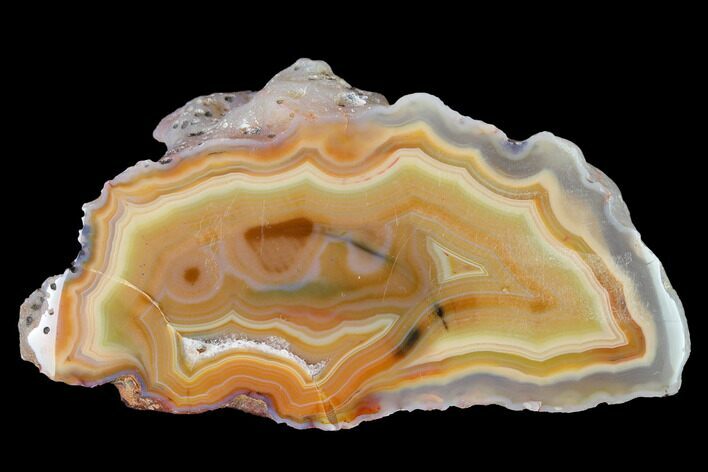 Colorful, Polished Condor Agate Section - Argentina #145519